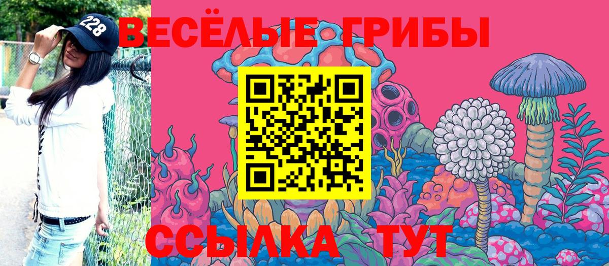 Псилоцибиновые грибы MAGIC MUSHROOMS Будённовск