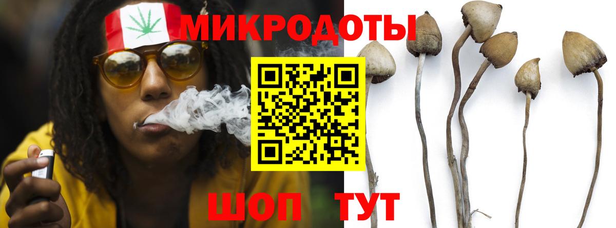 Будённовск  Псилоцибиновые грибы MAGIC MUSHROOMS  Вход с VPN  Псилоцибиновые грибы Magic Shrooms 