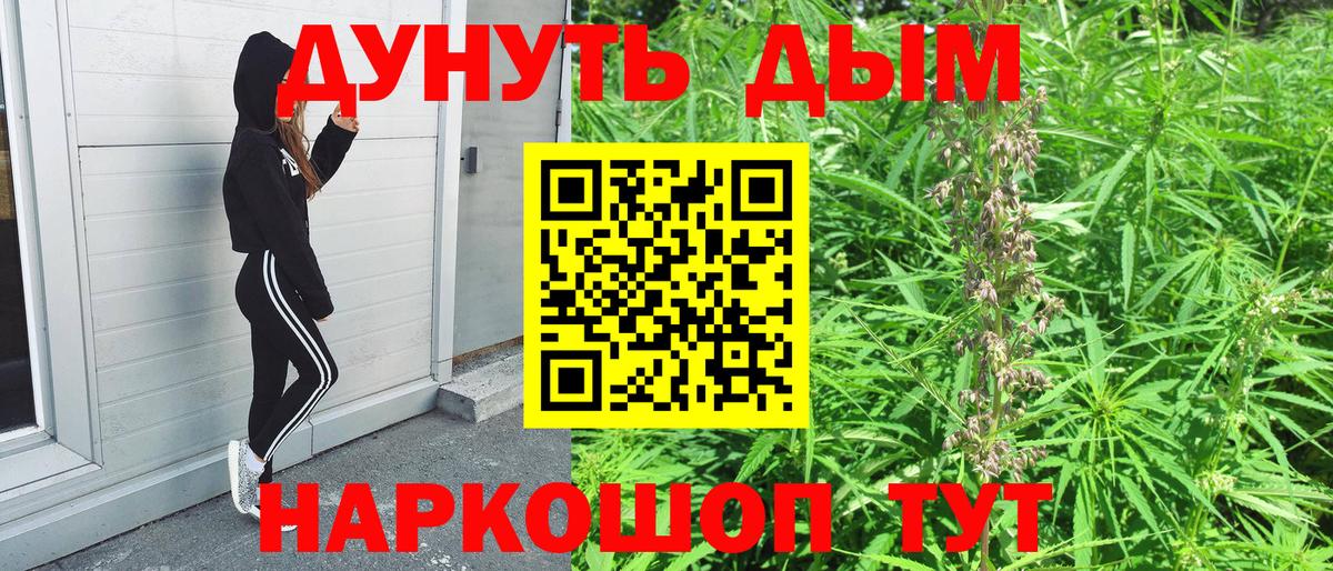 Конопля сатива Будённовск